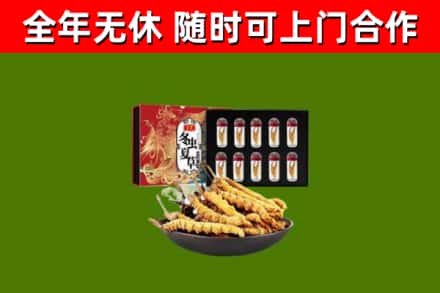 雨城回收冬虫夏草价格